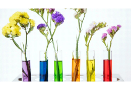 OPAKOWANIA KOSMETYCZNE